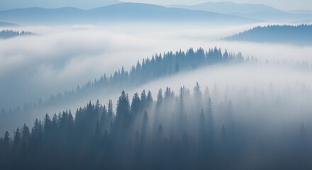 Misty Mountain Serenity: A tranquil mountain scene, where dense, ancient trees are enveloped in a dreamy sea of fog, offering a sense of peace and vastness.