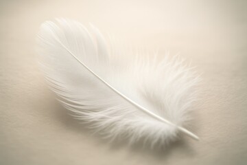 Fototapeta premium Elegant Feather Symbolism: Pure white feather with soft natural textures representing peace, purity, and spiritual symbolism for wellness and inspirational themes