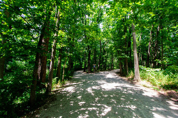 Trail, Charleston Falls Preserve, Tipp City, Ohio