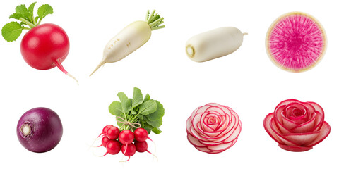 Assorted fresh radishes including daikon, watermelon radish, purple radish and sliced