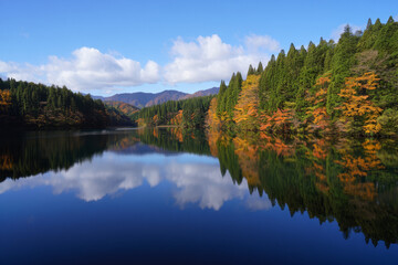 Autumn forest reflects perfectly on a still lake under a blue sky with white clouds.