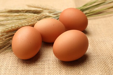 Fresh eggs and spikes on burlap cloth, closeup