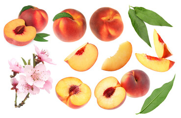 Ripe juicy peaches, blossoms and green leaves on white background, collage