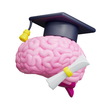 Graduate Brain 3D