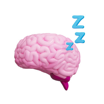 Sleep Brain 3D