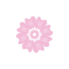 Flower vector illustration featuring pink blossoms template design