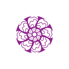 Flower vector illustration featuring pink blossoms template design