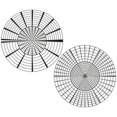 Electromagnetic surveillance network. Radial geodesic projection. Concentric wireframe Vector. Geometric mapping circles.