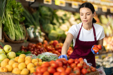 Supermarket employee carefully places ripe tomatoes on shelves of a grocery supermarket