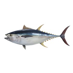 Tuna fish illustration against a white background.