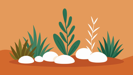 Minimalist Botanical Illustration Desert Plants and Stones