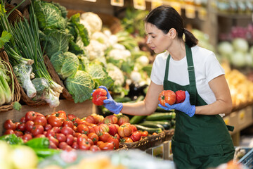 Supermarket employee carefully places ripe tomatoes on shelves of a grocery supermarket