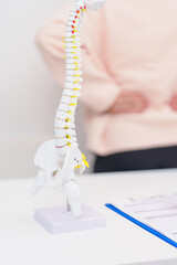 Elderly Patient consulting Doctor with Spine anatomy for Spinal Cord Disorder and disease, Back...
