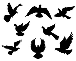 Collection of bird silhouettes set, dove icons in various poses, black color, isolated on white background
