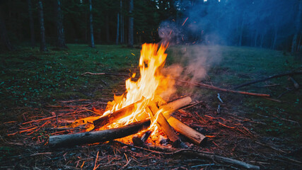 Campfire Burning on Forest Floor at Dusk