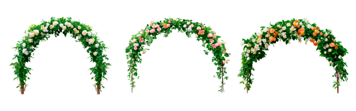 Floral arch arrangement with vibrant roses for wedding or event decoration on transparent background, PNG	