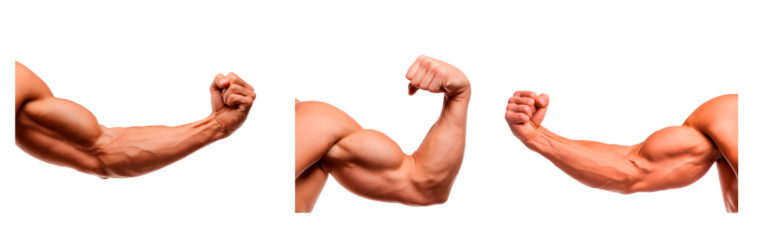 Muscular arm flexing trio displaying strength and fitness inspiration on transparent background, PNG	
