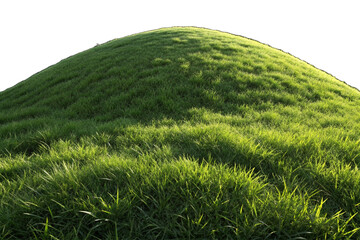green rice field, green grass hill