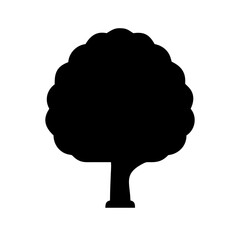 elm tree icon