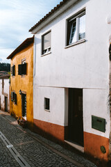 Traditional Portuguese architecture shines in Tarouca, with colorful houses lining a charming cobblestone street, creating a picturesque scene under the clear sky