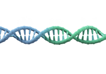 3D Rendering of Blue Green DNA Molecule Helix Isolated Background