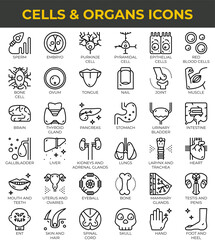 Human cells and organs icons set in outline style medical collection.