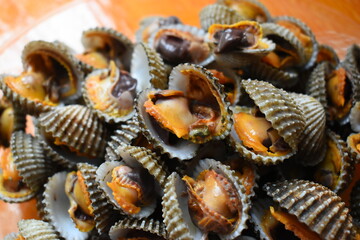 ripe fresh cockle on plate, delicious food in restaurant
