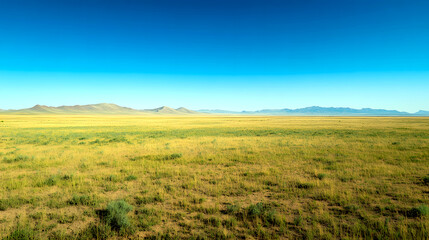 Obraz premium Wide Open Plain