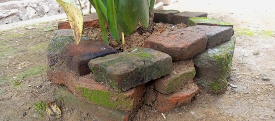 Rustic Brick Planter with Greenery and Moss