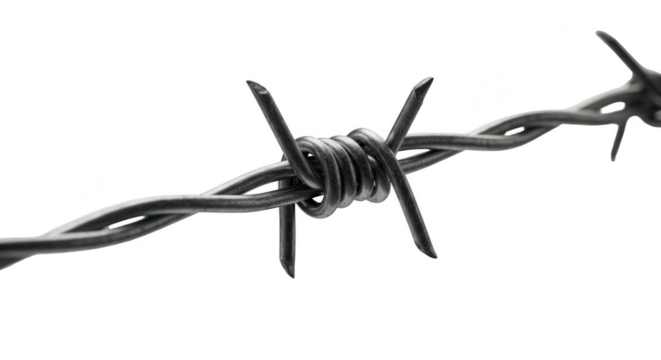 Barbed Wire Fence Sharp Protection Isolated Transparent Background