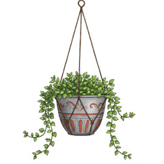 Cartoon Hanging Plant with Pot Home Decoration Transparent Background
