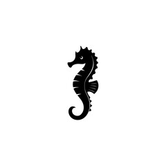 Seahorse Vector