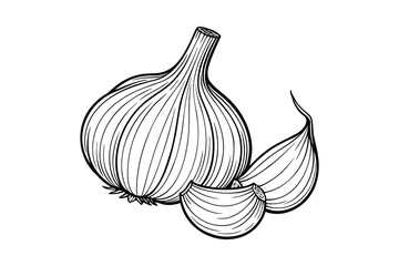 Garlic Outline Illustration of Aromatic Cooking Ingredient and Flavoring