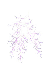 Digital Fractal Branching Tree Abstract Pattern Design Render Lightning