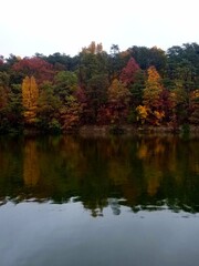 Autumn on the lake shoreline