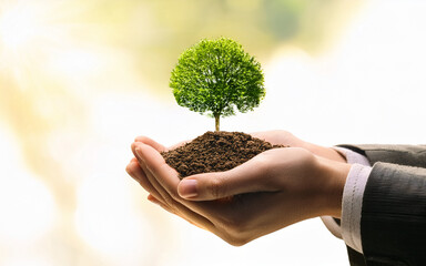 hands holding a plant