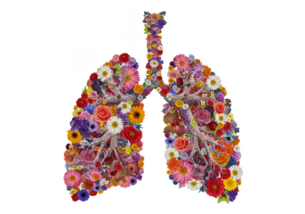 Floral Lungs Illustration Transparent Background Healthy Organ Blooms Anatomy