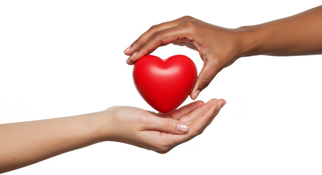 Giving Hands Hold a Red Heart Symbol of Love PNG Transparent