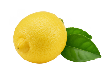 Fresh Yellow Lemon Fruit with Leaves Transparent Background