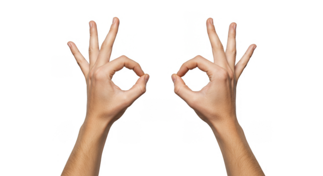 Hand Gesture Indicates Ok Perfect Agreement On Transparent Background