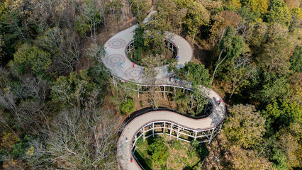 Aerial view of the skywalk in Phayao province of Thailand. Located on Wat Phrathat Chom Thong temple for viewing Phayao lake the largest freshwater lake in the northern Thailand.