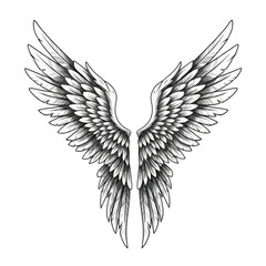 Obraz premium Isolated Angel Wings Spread White Feathers Freedom Bird Fly Heaven