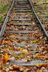 Selective focus on railroad tracks in an autumn landscape.