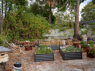 Raised garden beds in backyard with plants and shade cover