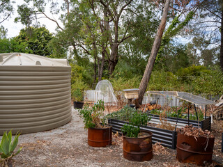 Raised garden beds in backyard with plants and shade cover