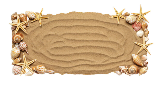 Isolated Beach Sand Starfish Shell Border a Transparent Background