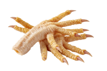 Close up presents chicken feet featuring yellowish skin and sharp claws against a stark black backdrop, showcasing food preparation elements, transparent background
