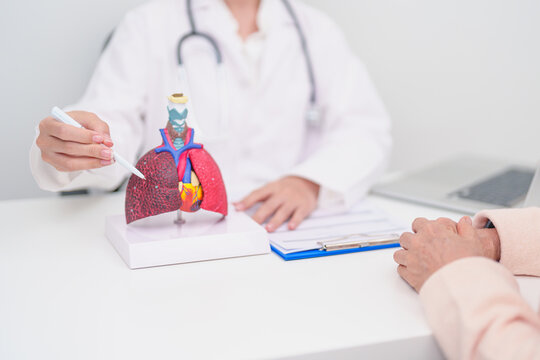 Doctor with Respiratory system. Elderly Patient consultation medical health for Lung Cancer, Asthma, Chronic Obstructive Pulmonary, Bronchitis, Emphysema, Cystic Fibrosis, Bronchiectasis, Pneumonia