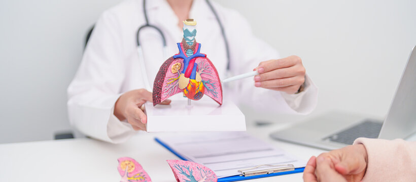 Doctor with Respiratory system. Elderly Patient consultation medical health for Lung Cancer, Asthma, Chronic Obstructive Pulmonary, Bronchitis, Emphysema, Cystic Fibrosis, Bronchiectasis, Pneumonia