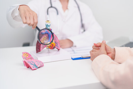 Doctor with Respiratory system. Elderly Patient consultation medical health for Lung Cancer, Asthma, Chronic Obstructive Pulmonary, Bronchitis, Emphysema, Cystic Fibrosis, Bronchiectasis, Pneumonia